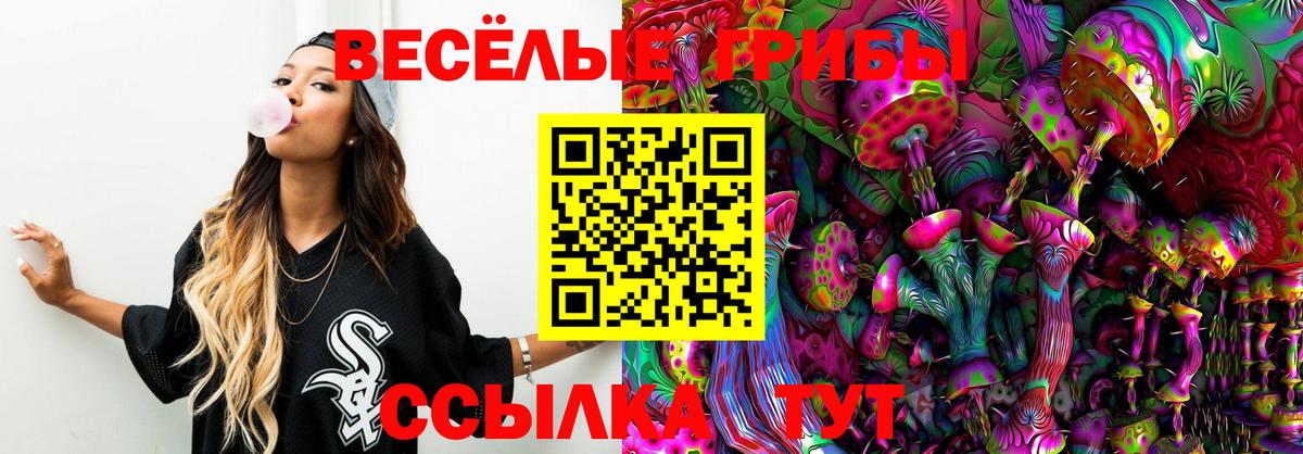 Верхний Уфалей  продажа наркотиков  Вход с VPN  Галлюциногенные грибы GOLDEN TEACHER 